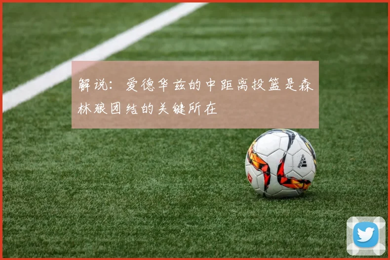 解说：爱德华兹的中距离投篮是森林狼团结的关键所在