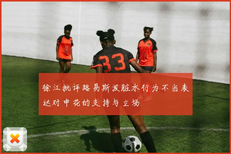 徐江批评路易斯泼脏水行为不当表达对申花的支持与立场